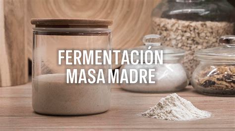 Proceso de fermentación de la masa