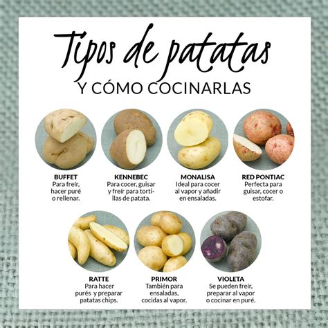 Variedad de guarniciones de patatas