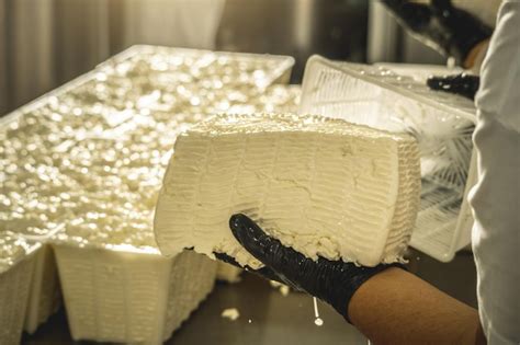 Variedades de queso fresco en un mercado