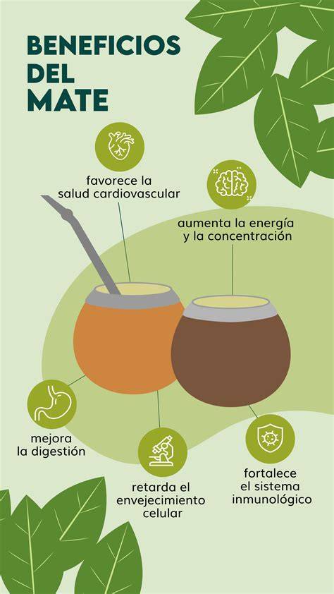 Infografía sobre los beneficios antioxidantes de la yerba mate