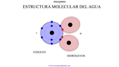 Molécula de agua y su polaridad