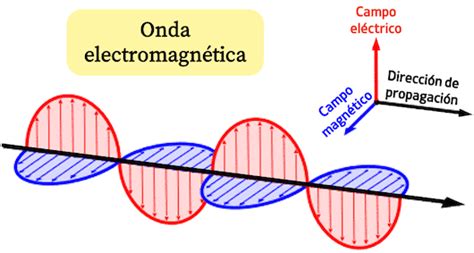 Esquema de funcionamiento de ondas electromagnéticas en un microondas