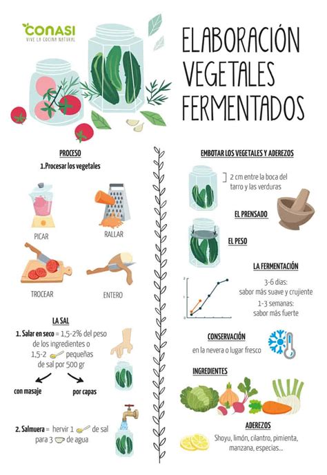 Infografía sobre la elaboración de vegetales fermentados