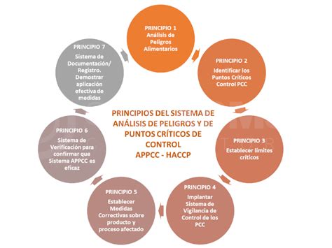 Infografía sobre los requisitos del sistema APPCC