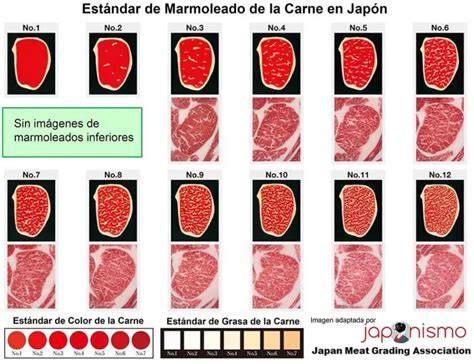Tabla de clasificación de carne Wagyu Japonesa