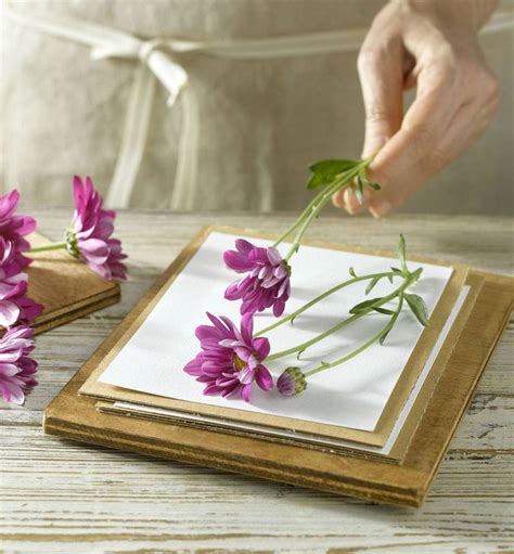 Flores prensadas entre hojas de un libro
