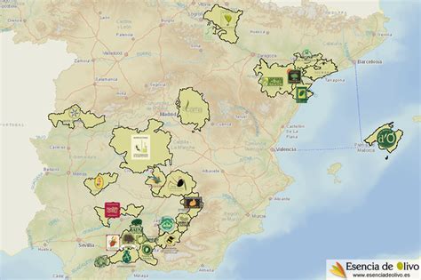 Mapa: Regiones productoras de aceite de oliva virgen extra en España