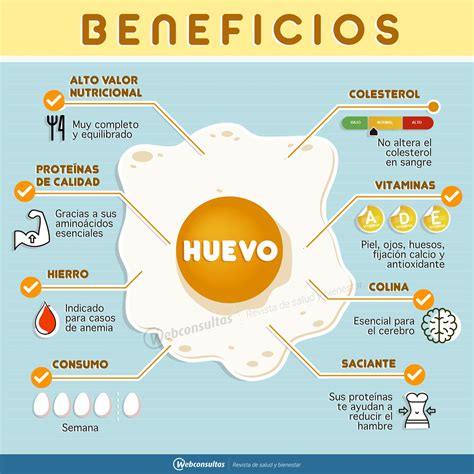 Composición nutricional de un huevo