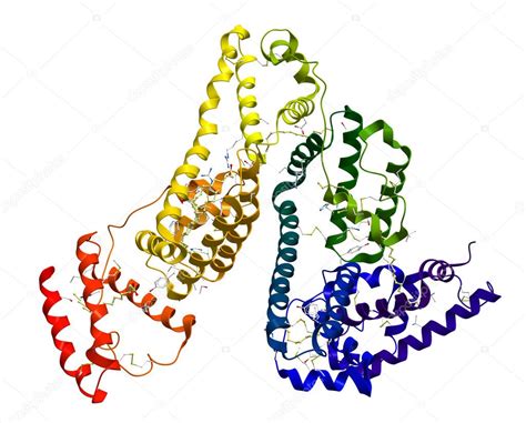 Estructura molecular de la albúmina