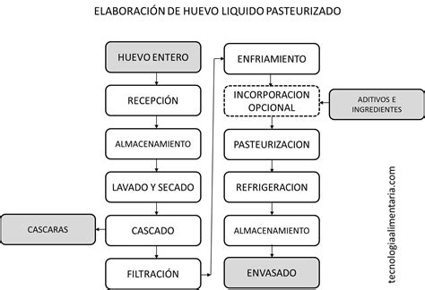 Diagrama del proceso de producción de huevo en polvo