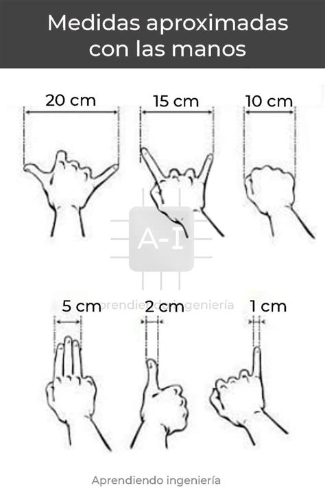 Diagrama de la mano mostrando las diferentes medidas aproximadas en gramos