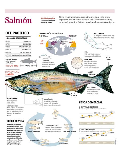 Mapa de distribución del salmón pacífico