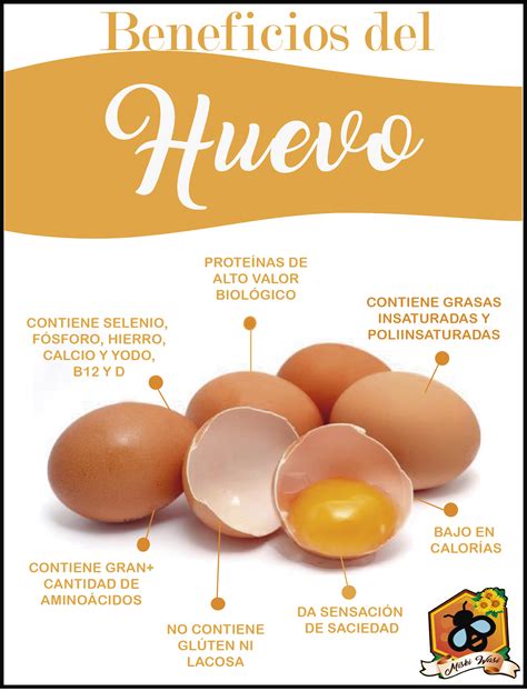 Infografía con los beneficios del huevo y las verduras