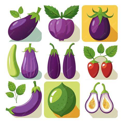 Ilustración botánica de la berenjena mostrando sus diferentes formas y colores