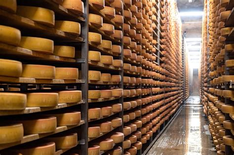 Proceso de maduración del queso