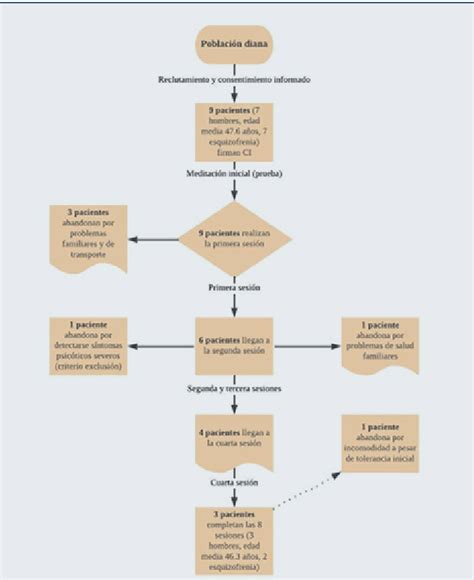 Diagrama de flujo del estudio sobre agresividad en cerdos