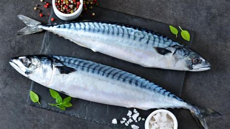 Pescado azul como la caballa