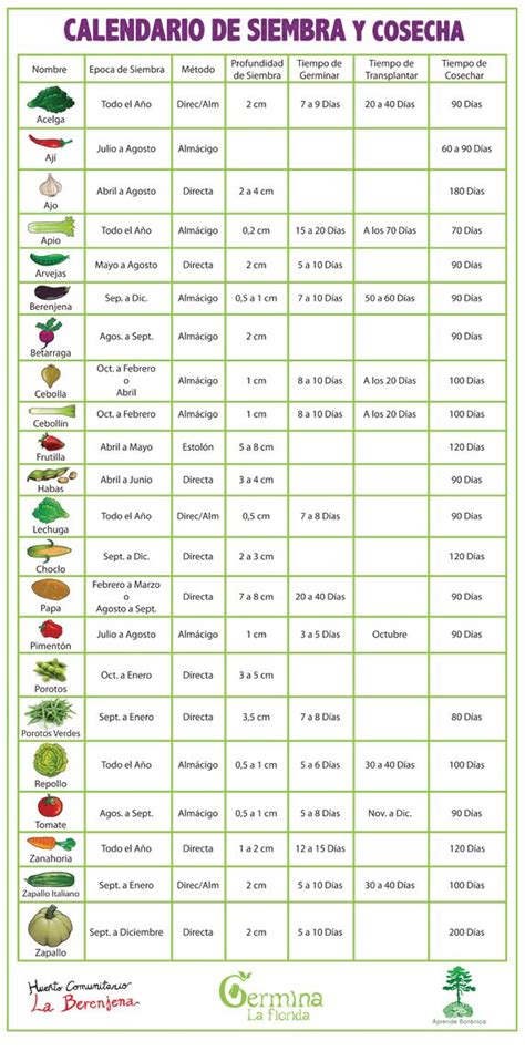 tabla de tiempos de siembra y cosecha