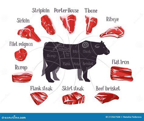 Ilustración de diferentes cortes de carne de res