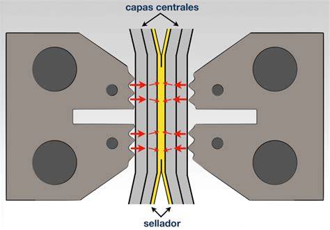 Proceso de sellado de los bordes con un tenedor