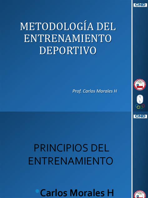Esquema táctico y metodología de entrenamiento