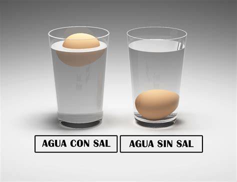 Huevo flotando en un vaso de agua salada