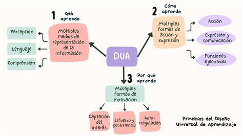 Esquema de las funciones del DUA