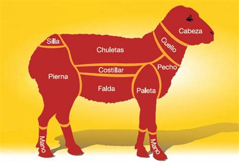 Diagrama de cortes de carne ovina