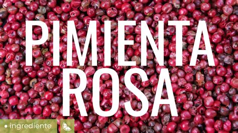 Plato con pimienta rosa