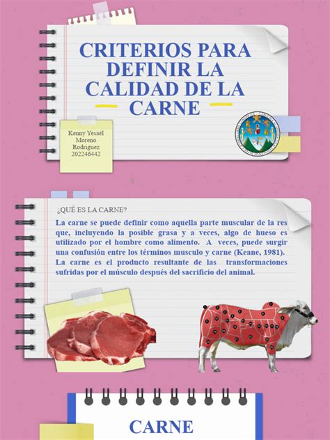 Proceso de selección y calidad de la carne de buey