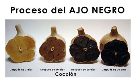 Proceso de fermentación del ajo negro