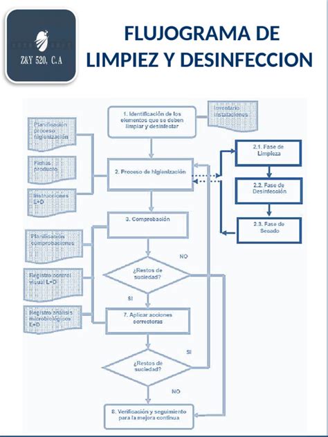 Ilustración del proceso de limpieza de una alcachofa