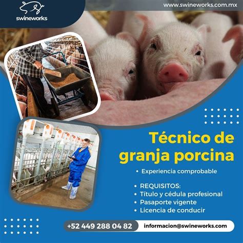 Documentación necesaria para licencia de granja porcina