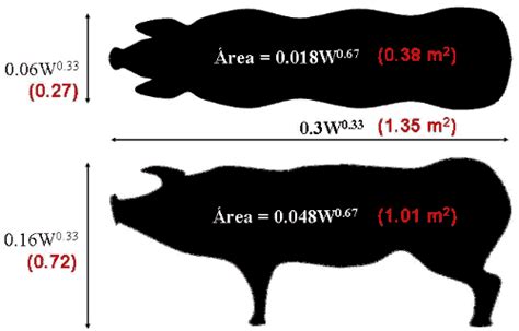 Espacio mínimo por cerdo según peso
