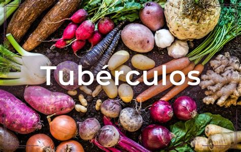 Variedad de tubérculos frescos