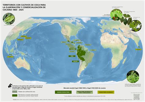 Mapa de distribución mundial del cultivo de habas