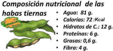 Tabla nutricional de las habas