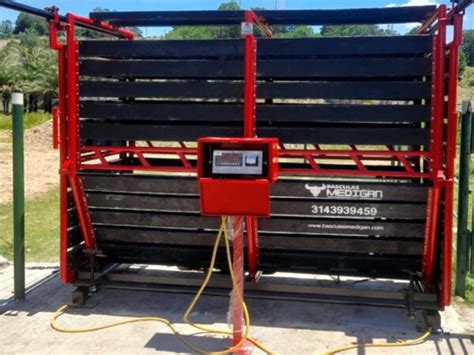 Diversos tipos de básculas para ganado en un entorno agrícola