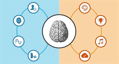 Infografía comparativa de diferentes básculas para ganado