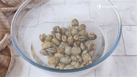 Limpieza de almejas en agua con sal