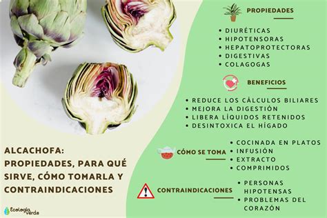 Tabla resumen de contraindicaciones de la alcachofa