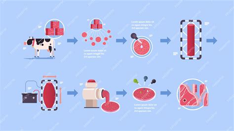 Proceso de producción de carne vegana