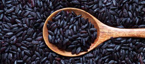 Arroz negro Homnin Thai en un campo
