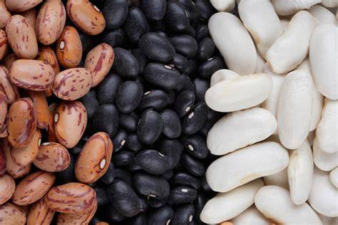 Variedad de alubias de diferentes colores y tamaños