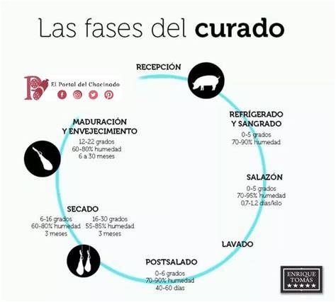 Proceso de curado de carne