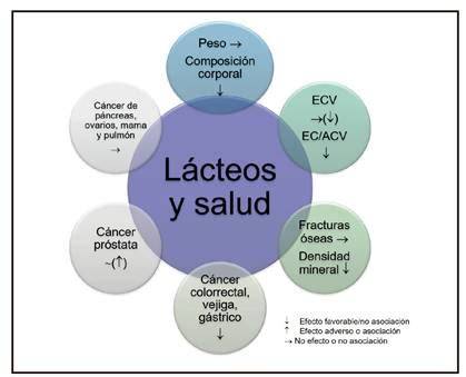 Diagrama de la matriz láctea y sus beneficios nutricionales y sanitarios