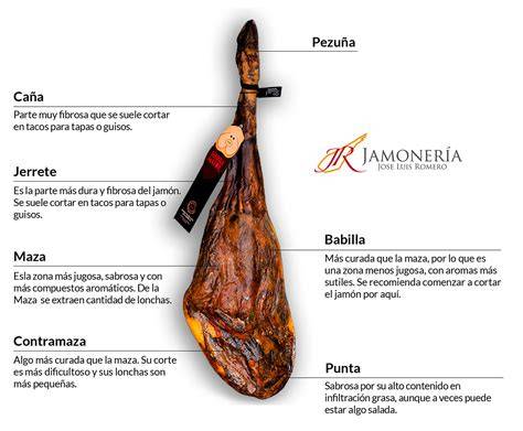 Ilustración detallada de las diferentes partes de un jamón ibérico