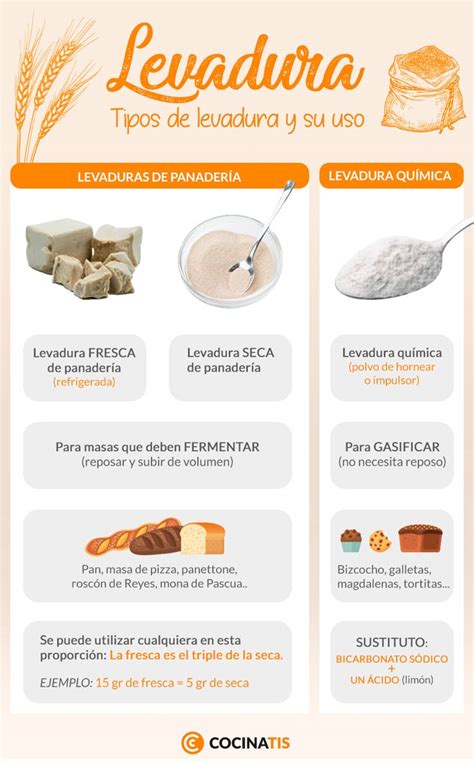 Tipos de levadura de panadero