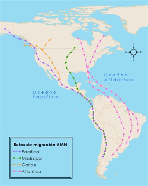 Mapa de rutas migratorias de aves en Europa y África