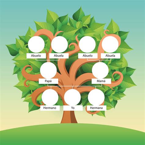 Representación visual de un árbol genealógico con ramas y nombres.